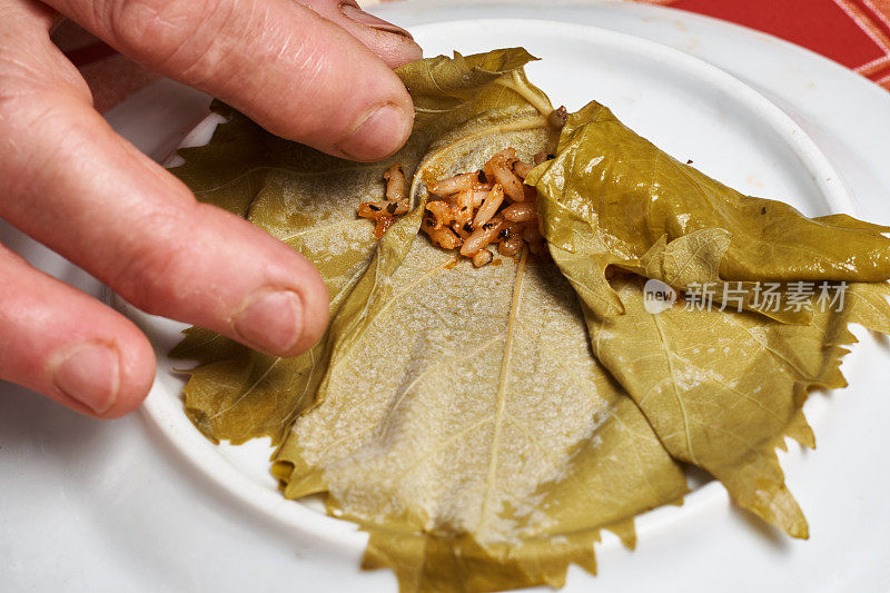 Dolma - Sarma - Dolmades。制作著名的开胃菜米酿葡萄叶